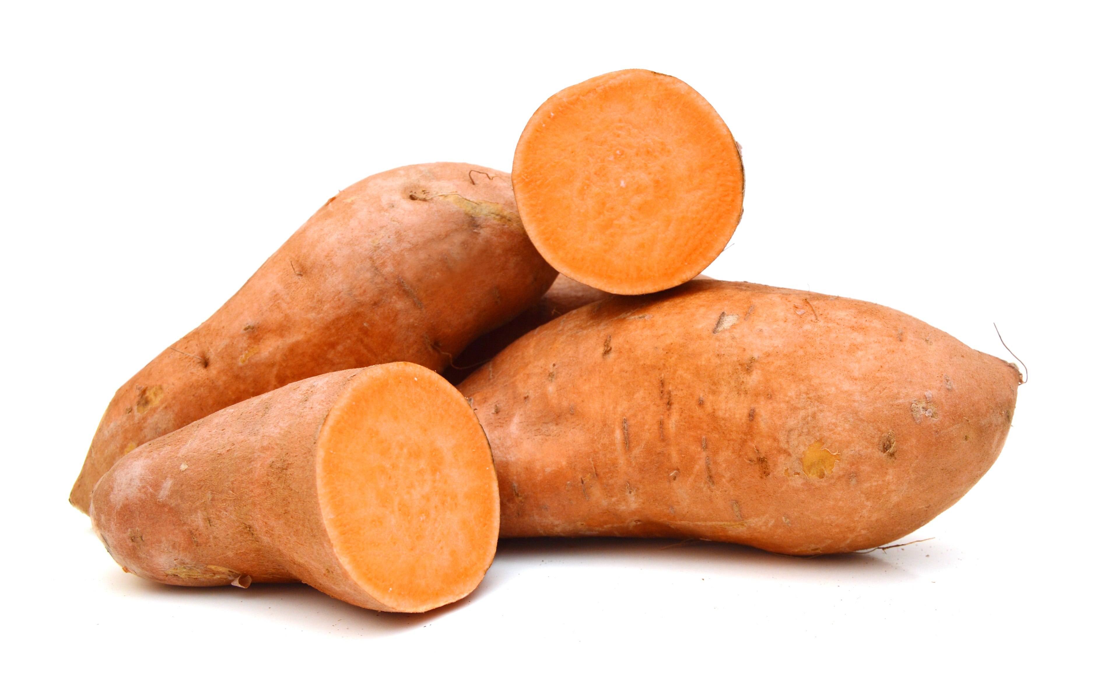 Beaureguard Sweet Potato