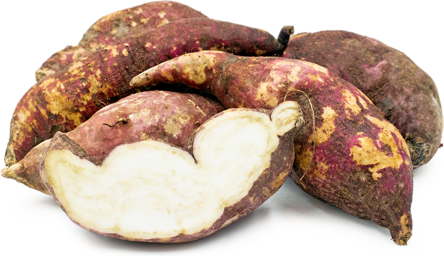 Golden Sweet Potato