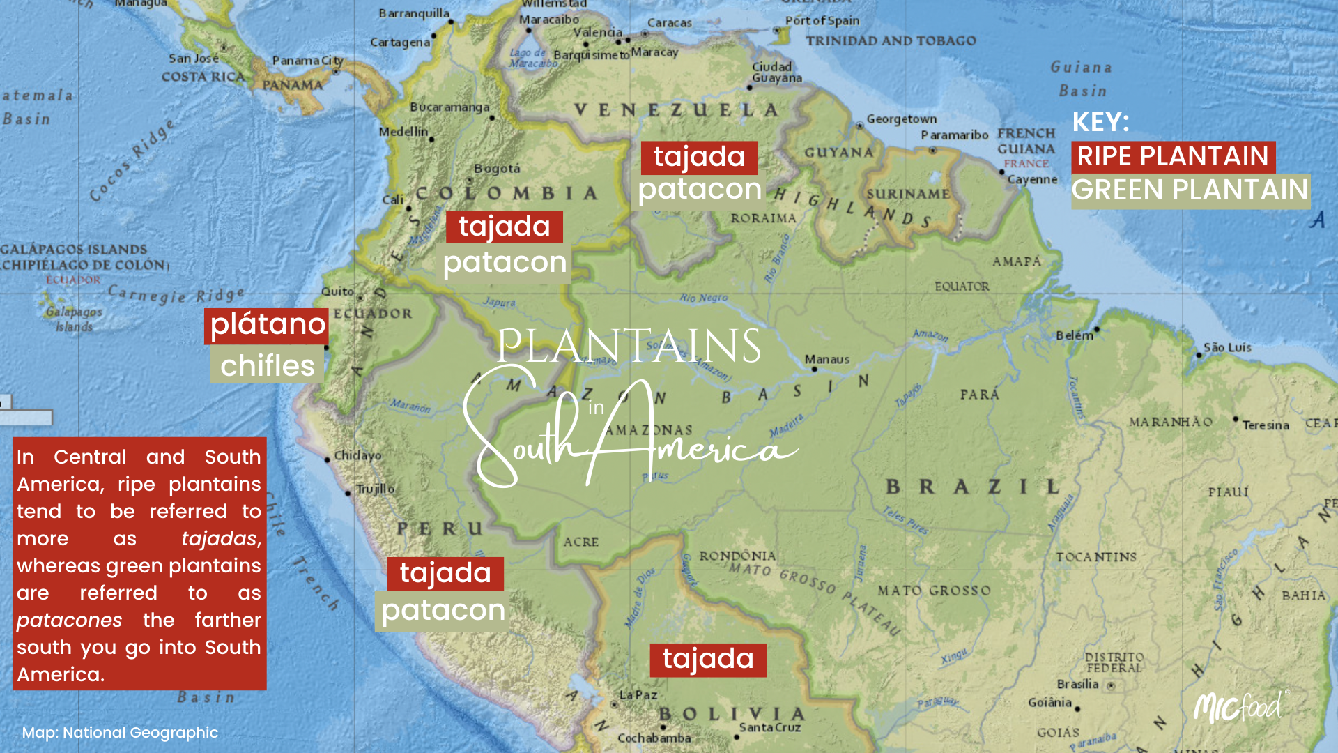 Plantains in North & Central America Graphic-2