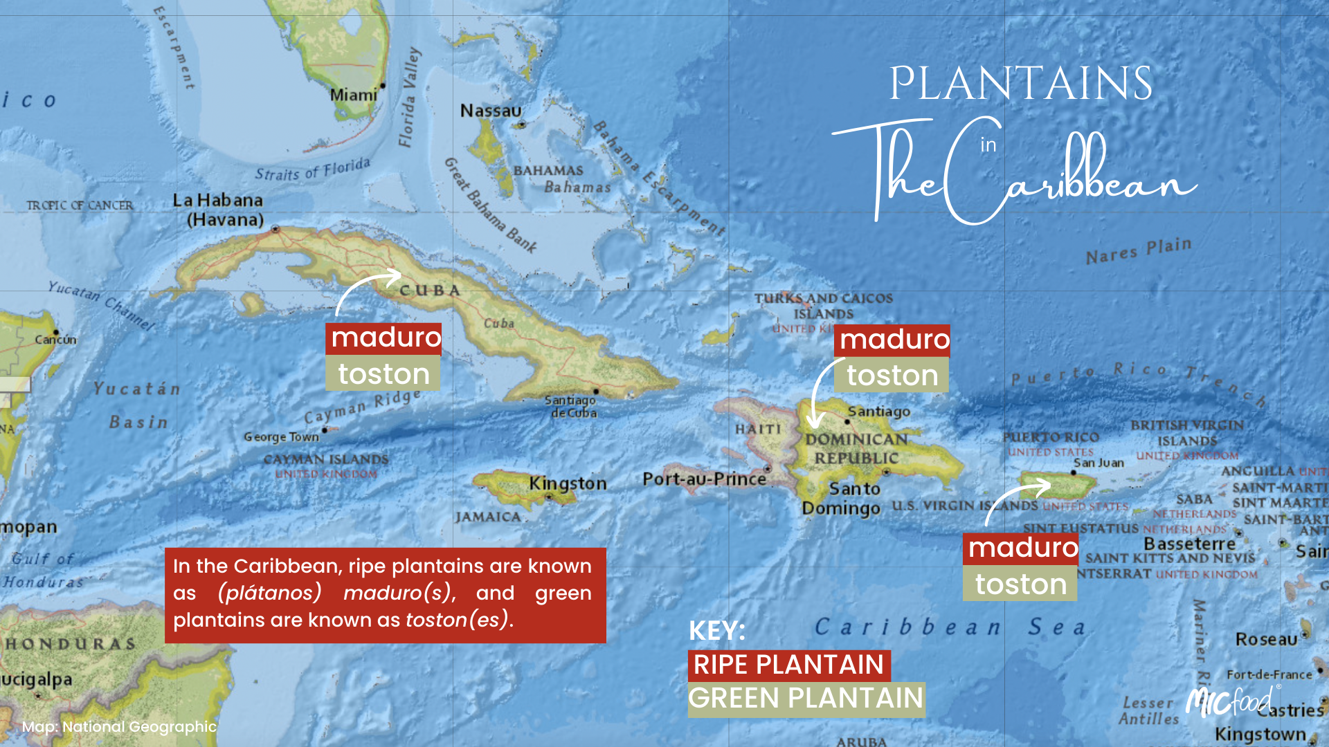 Plantains in North & Central America Graphic-3