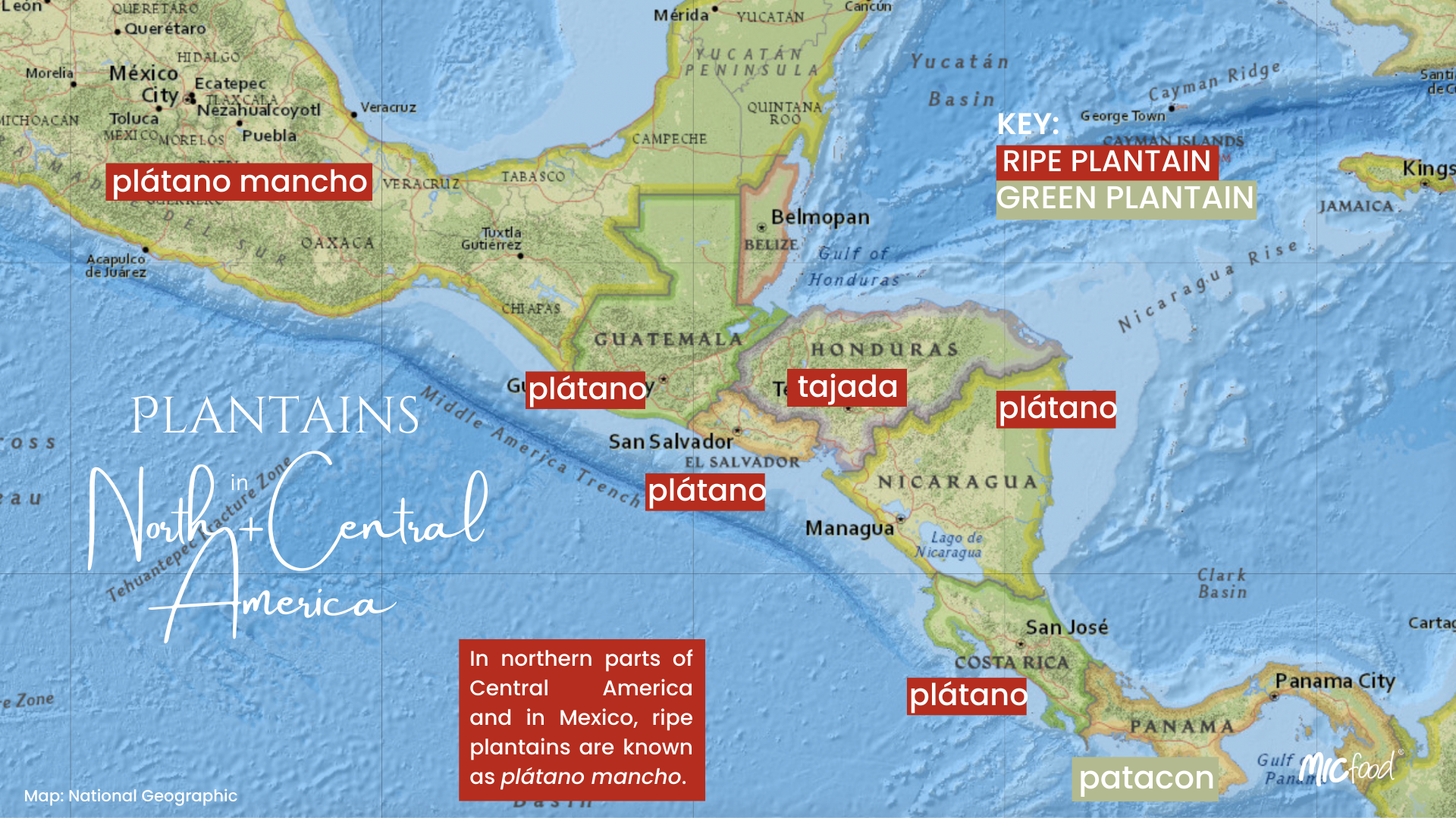 Plantains in North & Central America Graphic